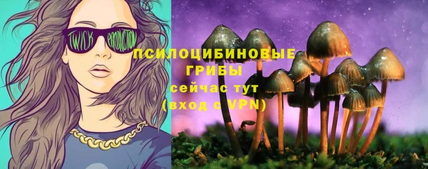 спиды Белоозёрский